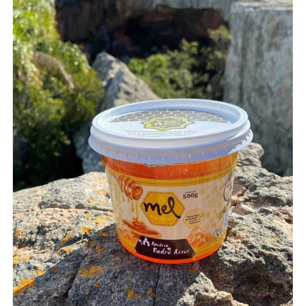 Mel Silvestre  500g - Mel  