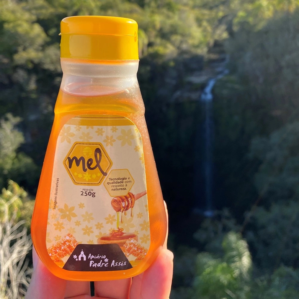 Mel Silvestre bisnaga 250g