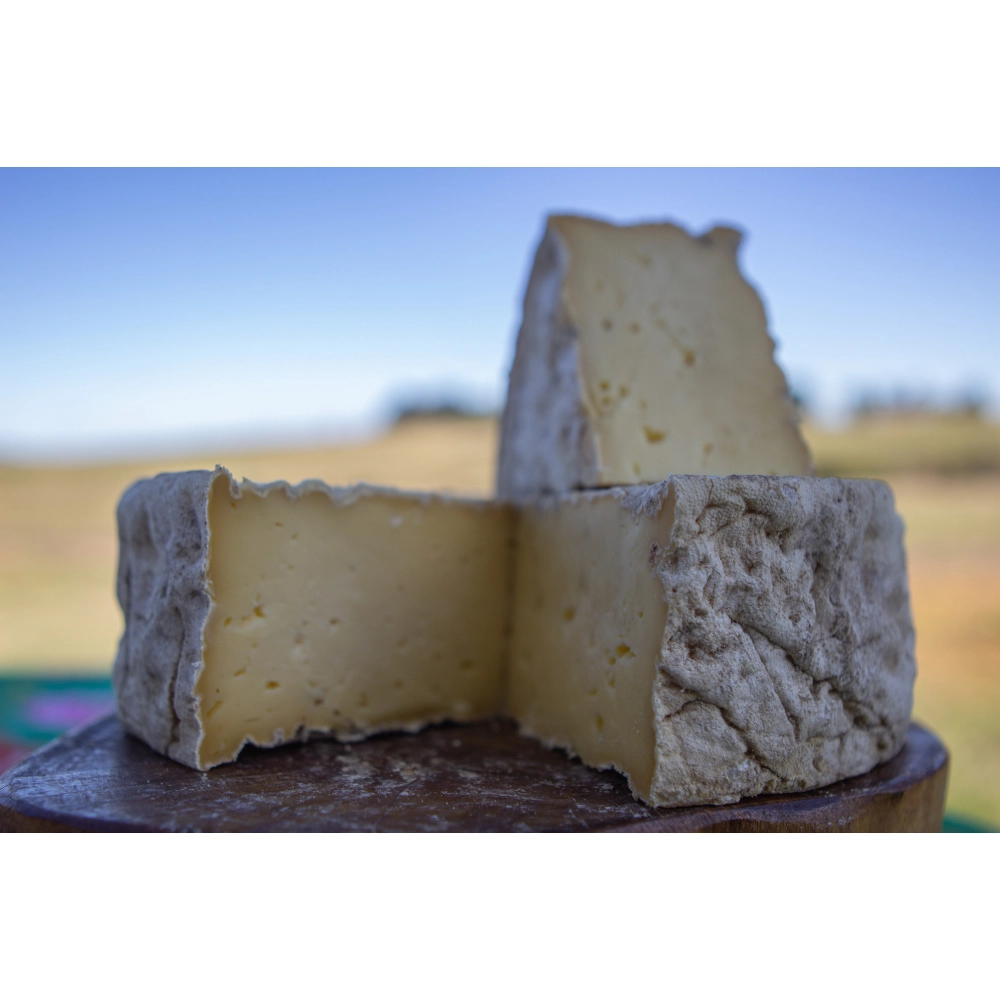 Queijo Coxilha Queijo Coxilha