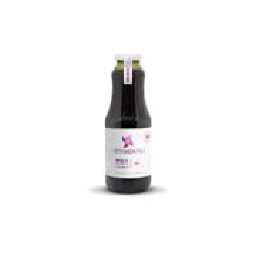 Suco de Uva Tinto Integral 500ml
