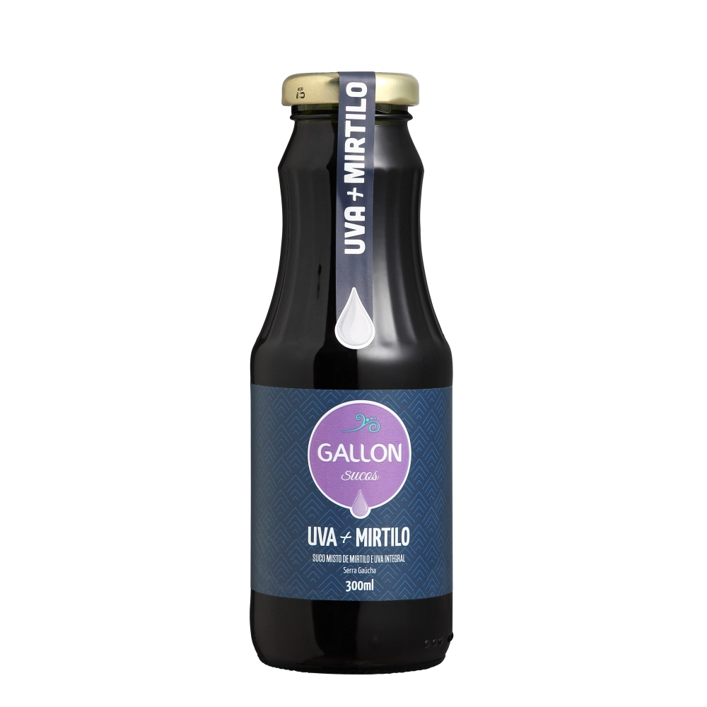 Suco Misto Mirtilo com Uva 300 ml