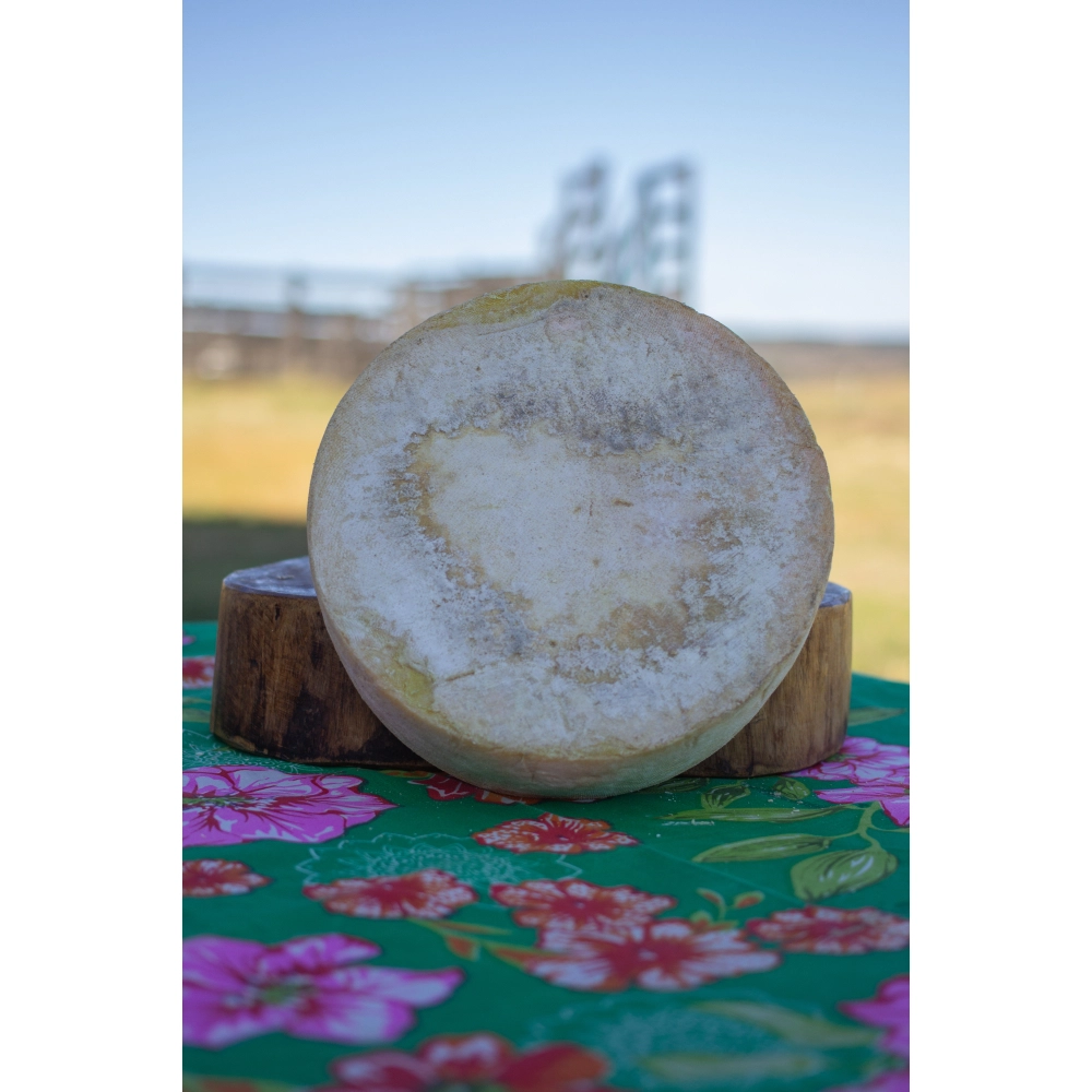 Queijo Coxilha Queijo Coxilha